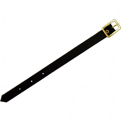 Double Sided Bag tag w/ Leather Strap