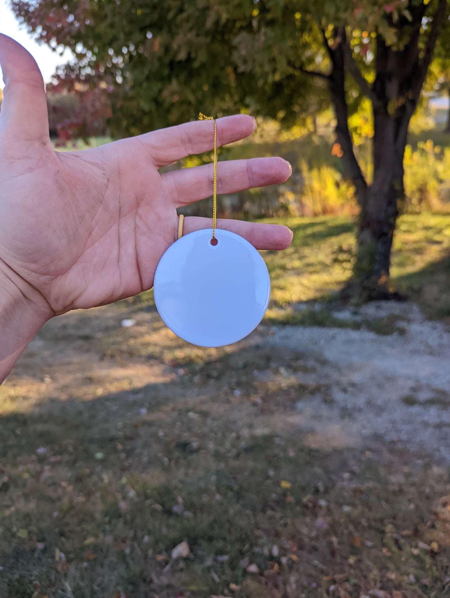 Ceramic Ornaments, Blank, Double Sided