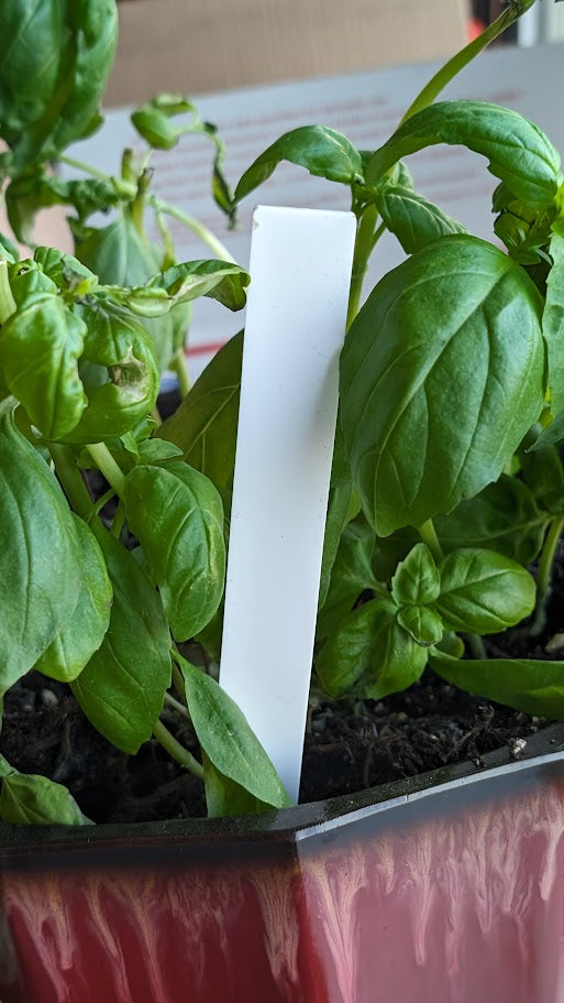 Plant Steaks - Blank for Sublimation