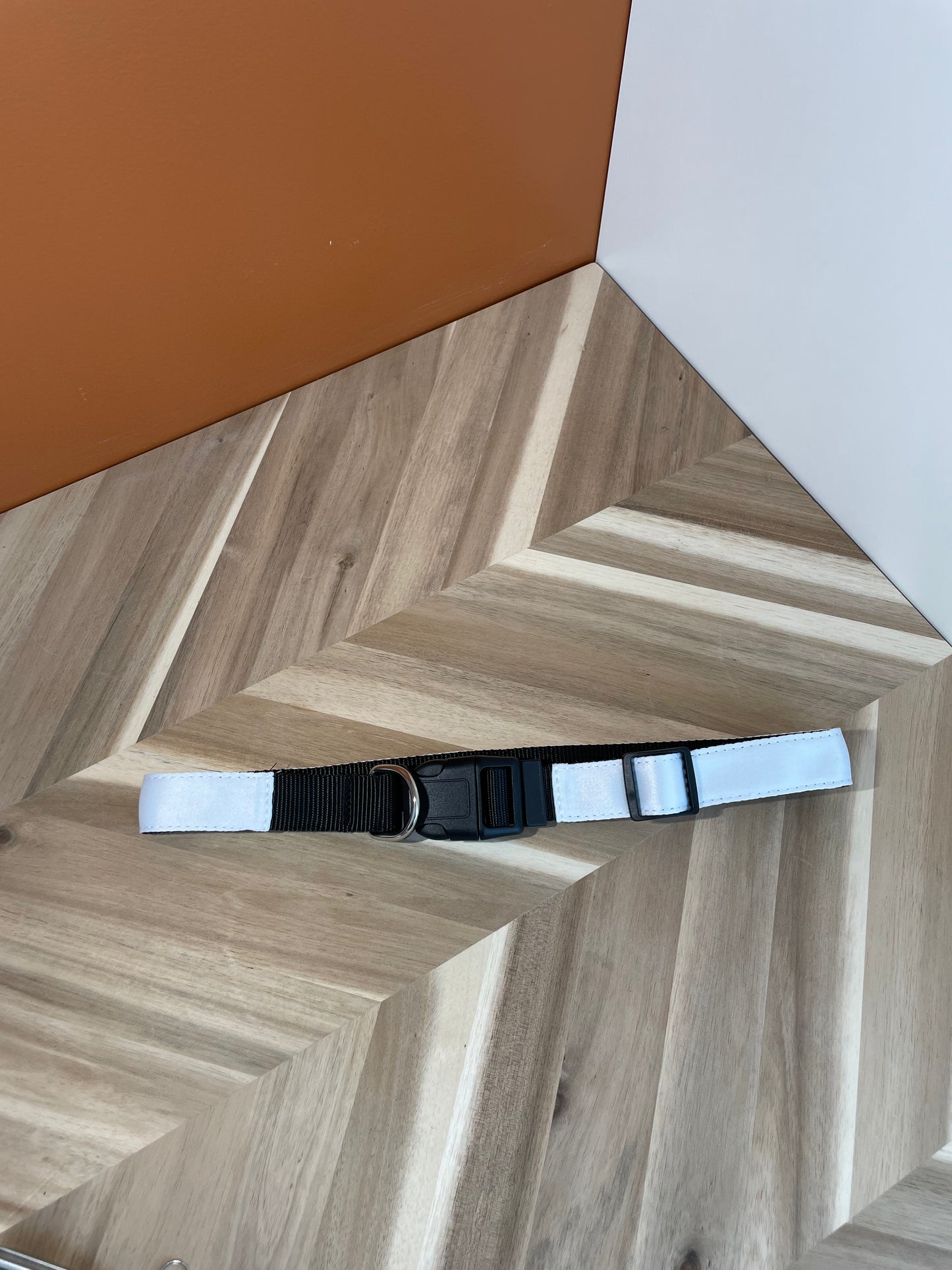 Dog Collar - Blank for Sublimation